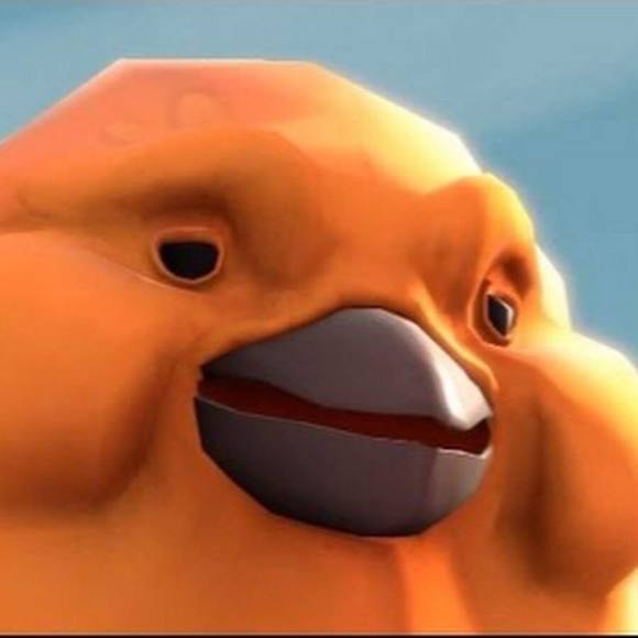 Meet your Posher, Owen - Picture 1 of 1